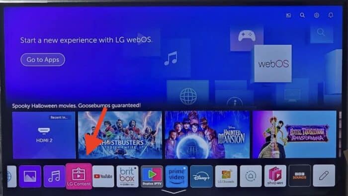 opening LG content store