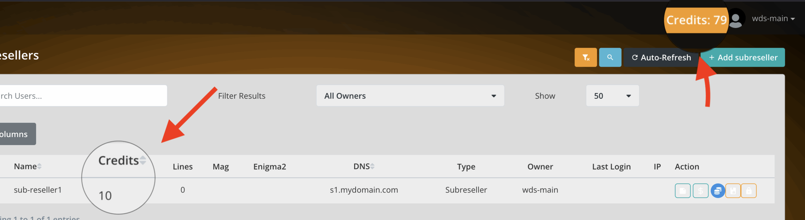 overview page showing the sub-reseller now has the added credits.